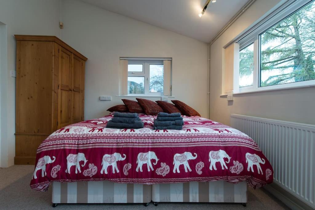 Bristol Self-Catering Studio+Kitchen+Parking Exteriör bild